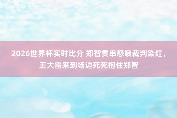 2026世界杯实时比分 郑智贯串怒喷裁判染红，王大雷来到场边死死抱住郑智