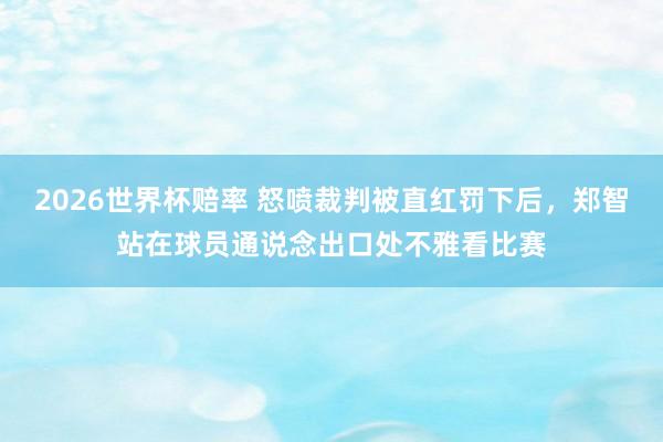2026世界杯赔率 怒喷裁判被直红罚下后，<a href=