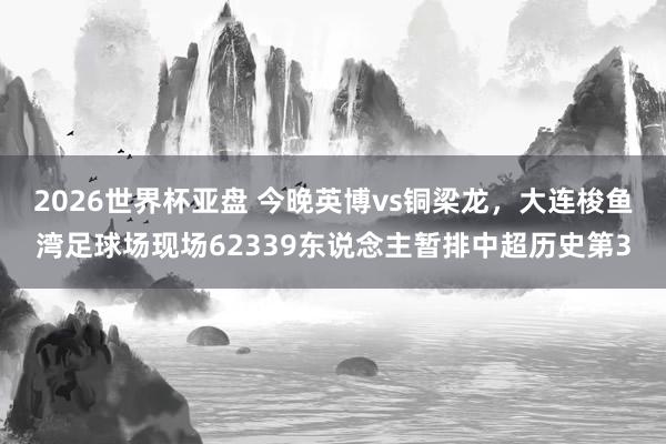 2026世界杯亚盘 今晚英博vs铜梁龙，大连梭鱼湾足球场现场62339东说念主暂排中超历史第3