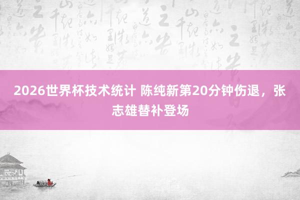 2026世界杯技术统计 陈纯新第20分钟伤退，张志雄替补登场