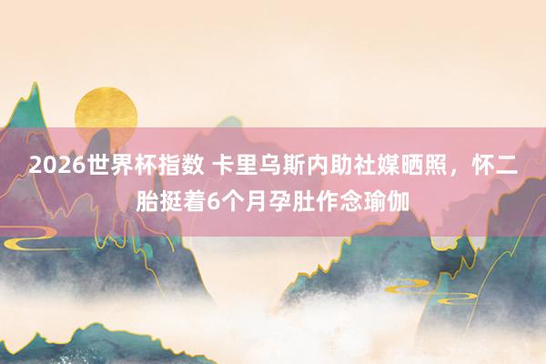 2026世界杯指数 卡里乌斯内助社媒晒照，怀二胎挺着6个月孕肚作念瑜伽