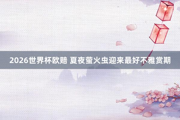 2026世界杯欧赔 夏夜萤火虫迎来最好不雅赏期