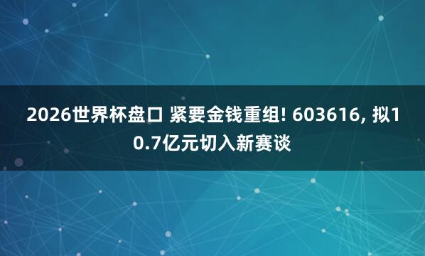 2026世界杯盘口 紧要金钱重组! 603616， 拟10.7亿元切入新赛谈