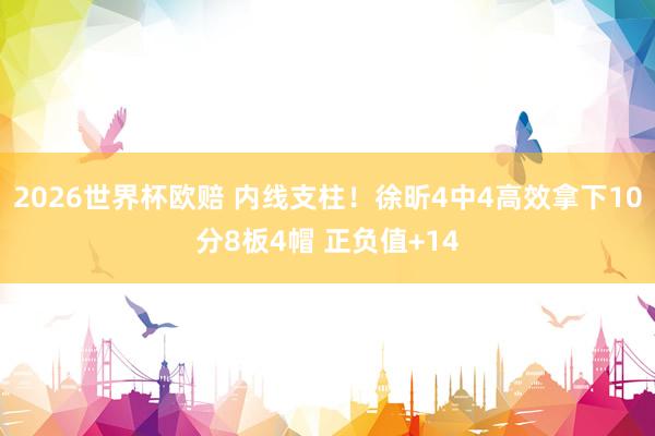 2026世界杯欧赔 内线支柱！徐昕4中4高效拿下10分8板4帽 正负值+14