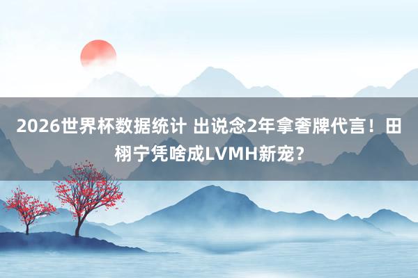 2026世界杯数据统计 出说念2年拿奢牌代言！田栩宁凭啥成LVMH新宠？