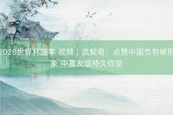 2026世界杯赔率 视频｜武契奇：点赞中国负包袱形象 中塞友谊持久弥坚