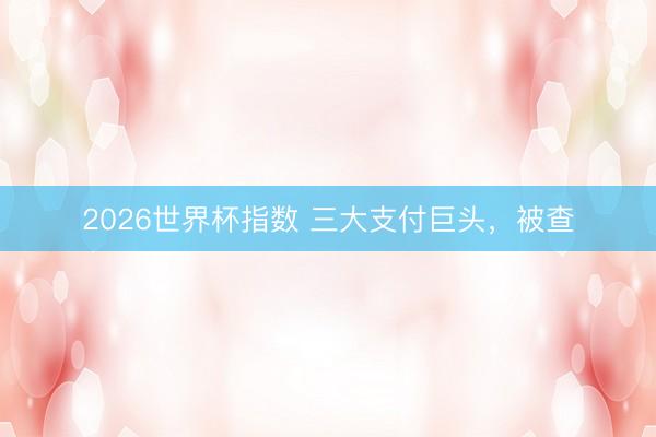 2026世界杯指数 三大支付巨头，被查