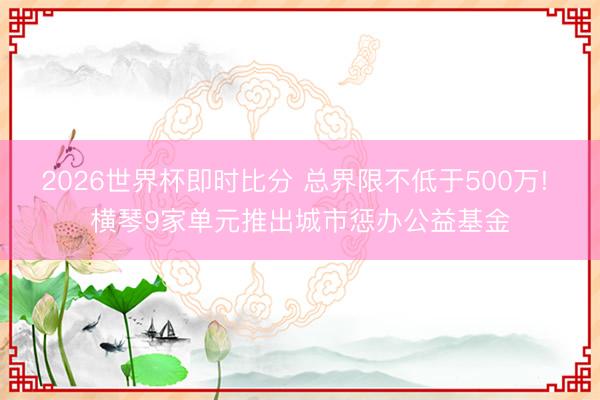 2026世界杯即时比分 总界限不低于500万! 横琴9家单元推出城市惩办公益基金